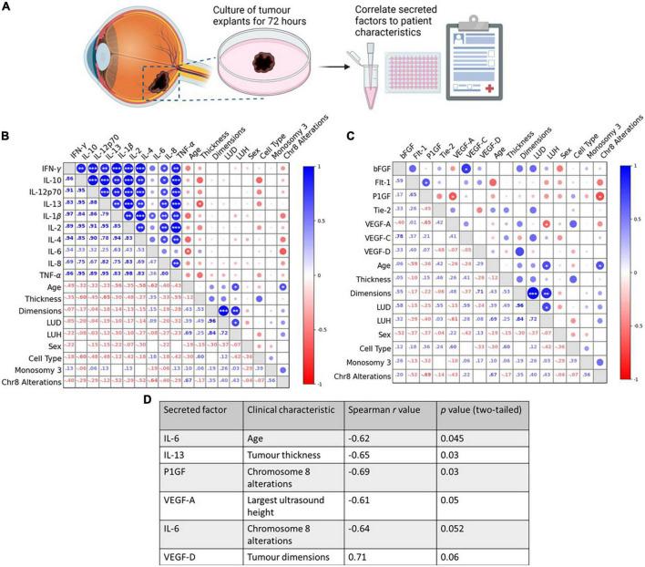 https://cdn.ncbi.nlm.nih.gov/pmc/blobs/7b9e/9868667/fa10fab35608/fmed-09-1036322-g002.jpg