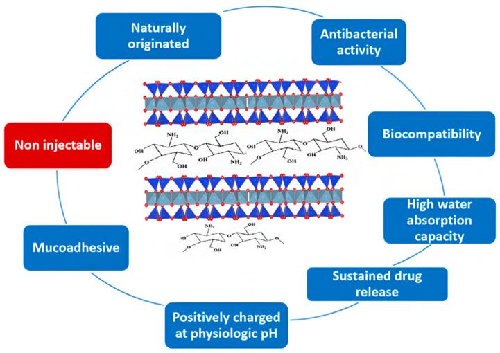 https://cdn.ncbi.nlm.nih.gov/pmc/blobs/7ba0/11476839/53c91e267ee7/ijms-25-10377-g005.jpg