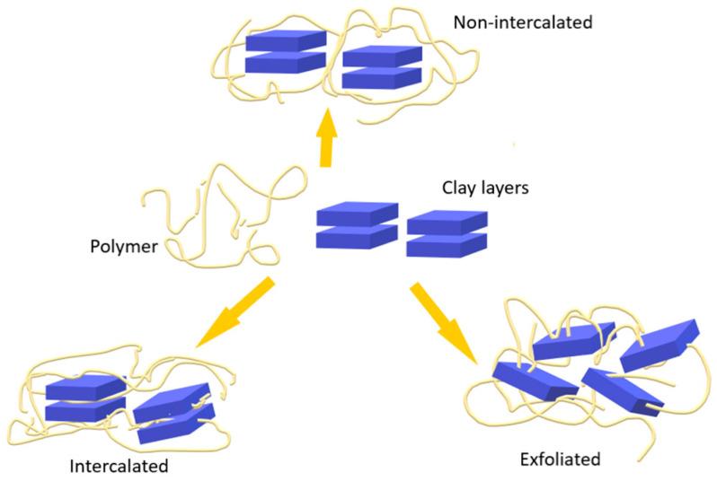 https://cdn.ncbi.nlm.nih.gov/pmc/blobs/7ba0/11476839/b0c4a498a7c4/ijms-25-10377-g004.jpg