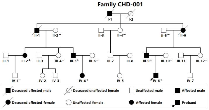 https://cdn.ncbi.nlm.nih.gov/pmc/blobs/7ba0/12109673/98a79ba25f01/children-12-00608-g001.jpg