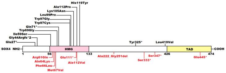 https://cdn.ncbi.nlm.nih.gov/pmc/blobs/7ba0/12109673/dd09ffb157ca/children-12-00608-g005.jpg