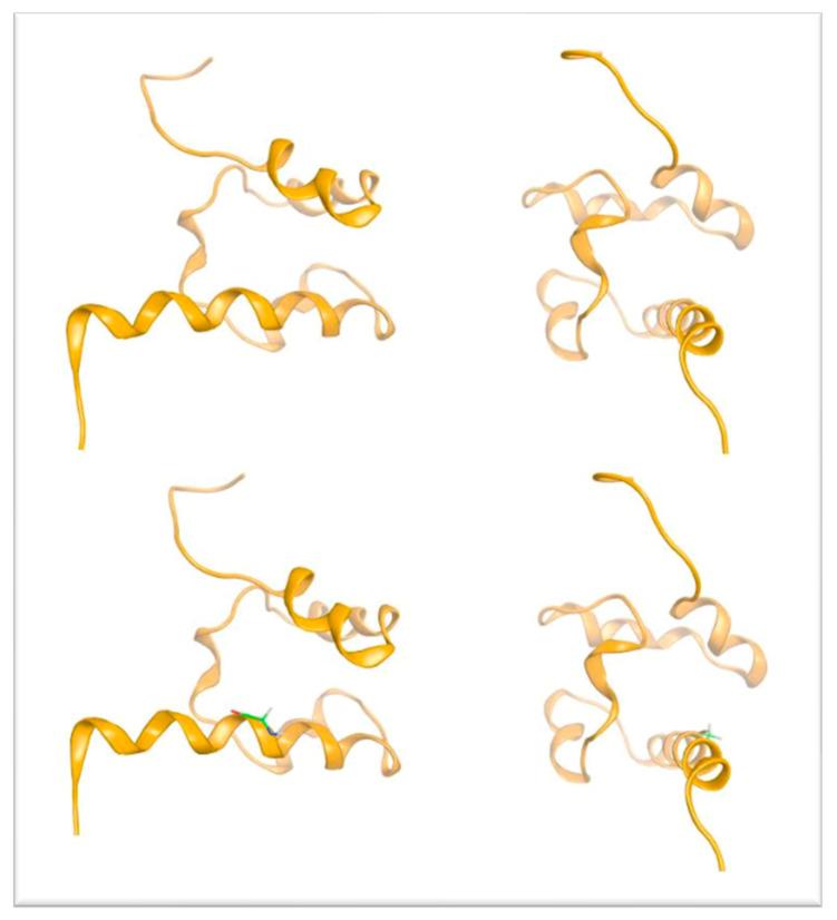 https://cdn.ncbi.nlm.nih.gov/pmc/blobs/7ba2/10298433/23f4ecc58934/genes-14-01246-g004.jpg