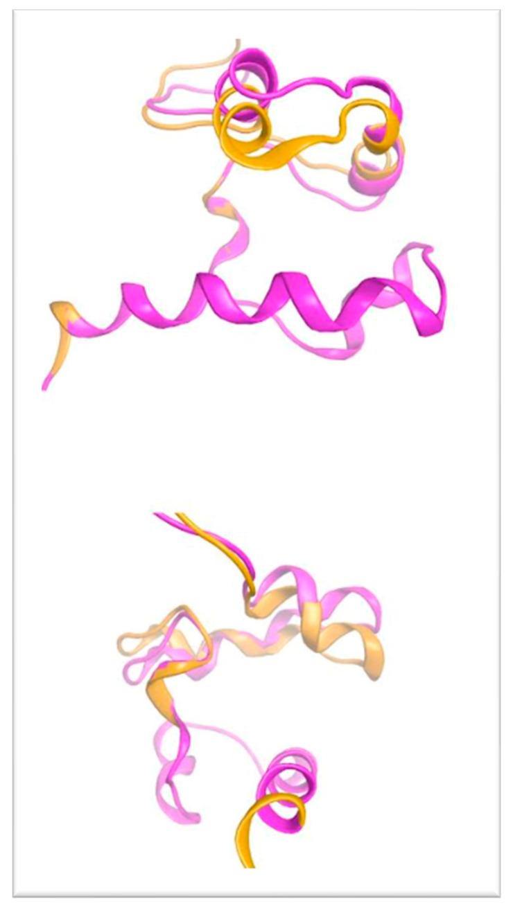 https://cdn.ncbi.nlm.nih.gov/pmc/blobs/7ba2/10298433/4c090268f10f/genes-14-01246-g007.jpg