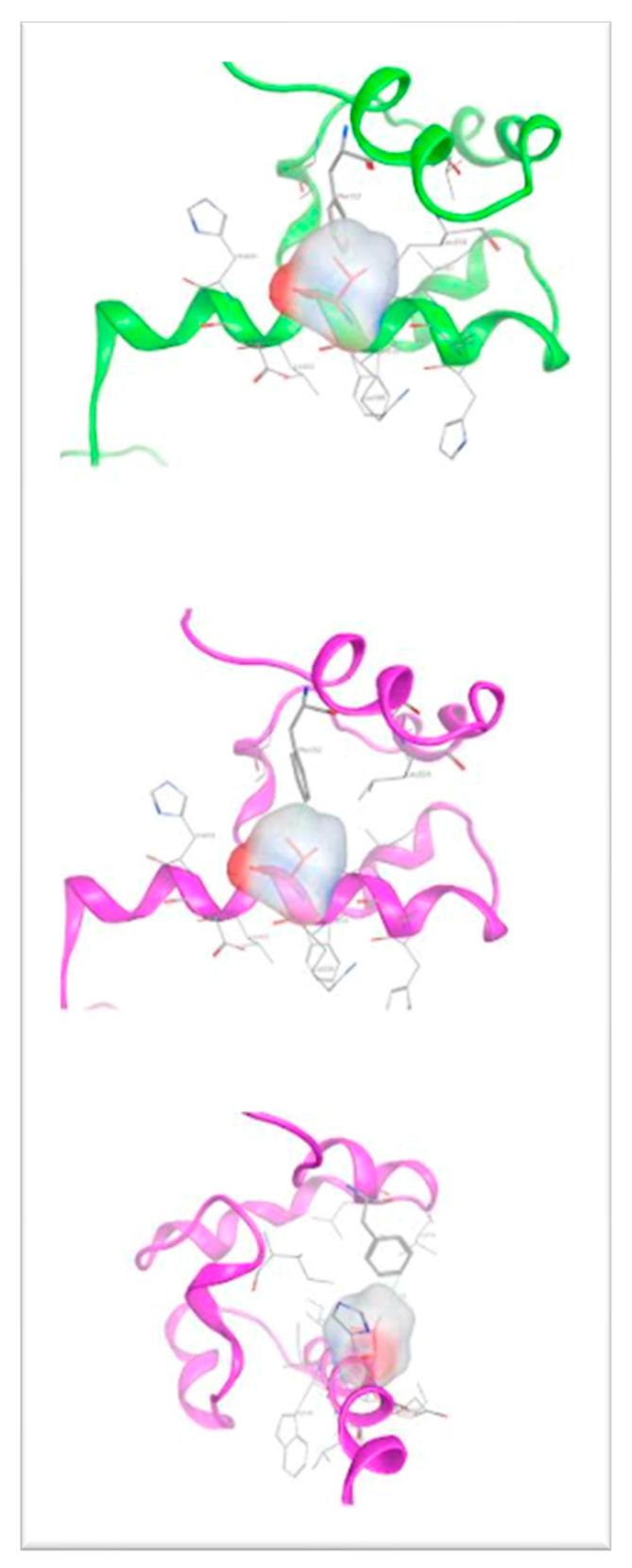 https://cdn.ncbi.nlm.nih.gov/pmc/blobs/7ba2/10298433/add4677f582a/genes-14-01246-g006.jpg
