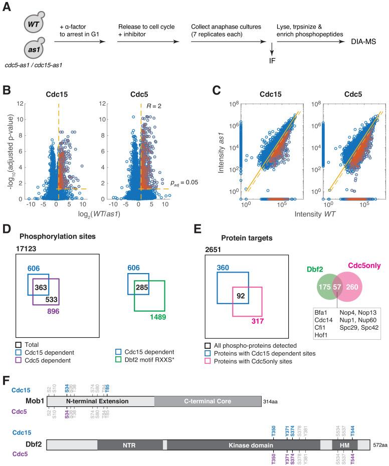 https://cdn.ncbi.nlm.nih.gov/pmc/blobs/7ba2/7822594/ba5b2ca8e315/elife-63645-fig5-figsupp1.jpg