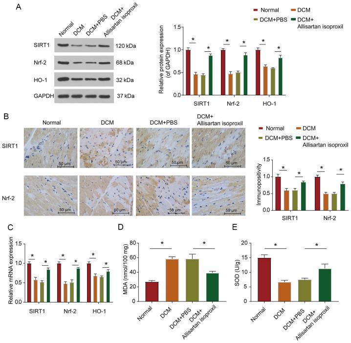 https://cdn.ncbi.nlm.nih.gov/pmc/blobs/7ba2/7845586/0ff6d3dfa9ff/mmr-23-03-11854-g02.jpg