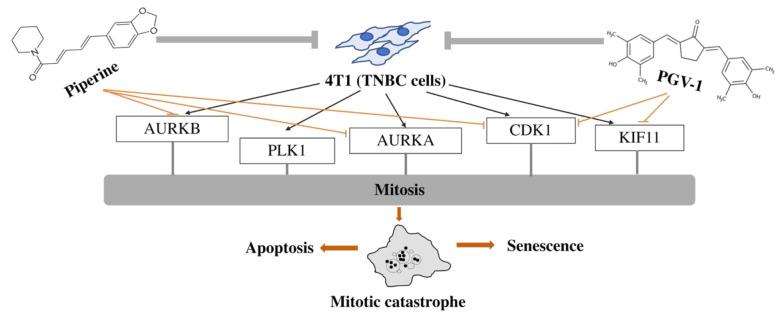 https://cdn.ncbi.nlm.nih.gov/pmc/blobs/7ba2/9191230/9105300b7bda/ijpr-21-1-123820-i008.jpg