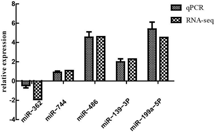 https://cdn.ncbi.nlm.nih.gov/pmc/blobs/7ba3/10093425/578cfef9dd64/animals-13-01246-g009.jpg