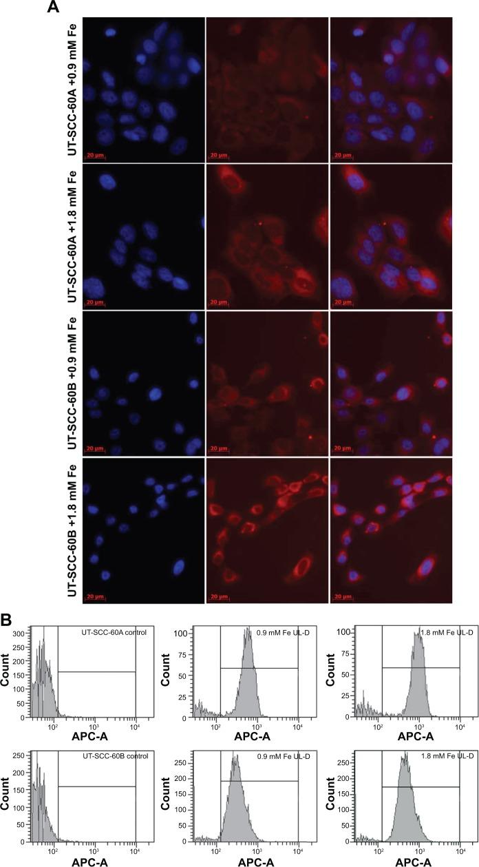 https://cdn.ncbi.nlm.nih.gov/pmc/blobs/7ba3/4218924/5adfa1fcf721/ijn-9-5025Fig7.jpg