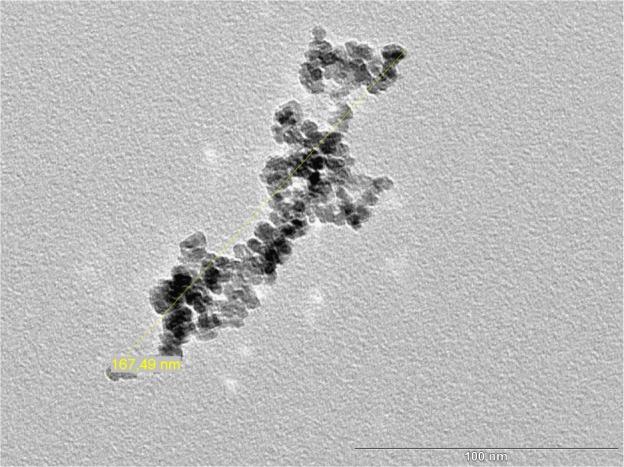 https://cdn.ncbi.nlm.nih.gov/pmc/blobs/7ba3/4218924/fef9559d24c7/ijn-9-5025Fig1.jpg