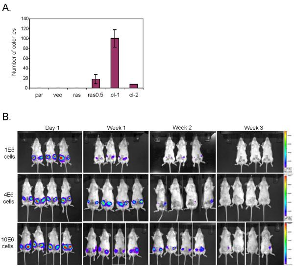 https://cdn.ncbi.nlm.nih.gov/pmc/blobs/7ba4/2815551/66663c177a41/bcr2457-3.jpg