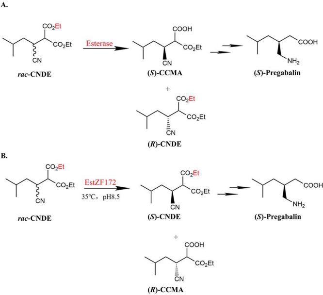 https://cdn.ncbi.nlm.nih.gov/pmc/blobs/7ba5/12138610/d7144641dc77/ao5c01054_0001.jpg