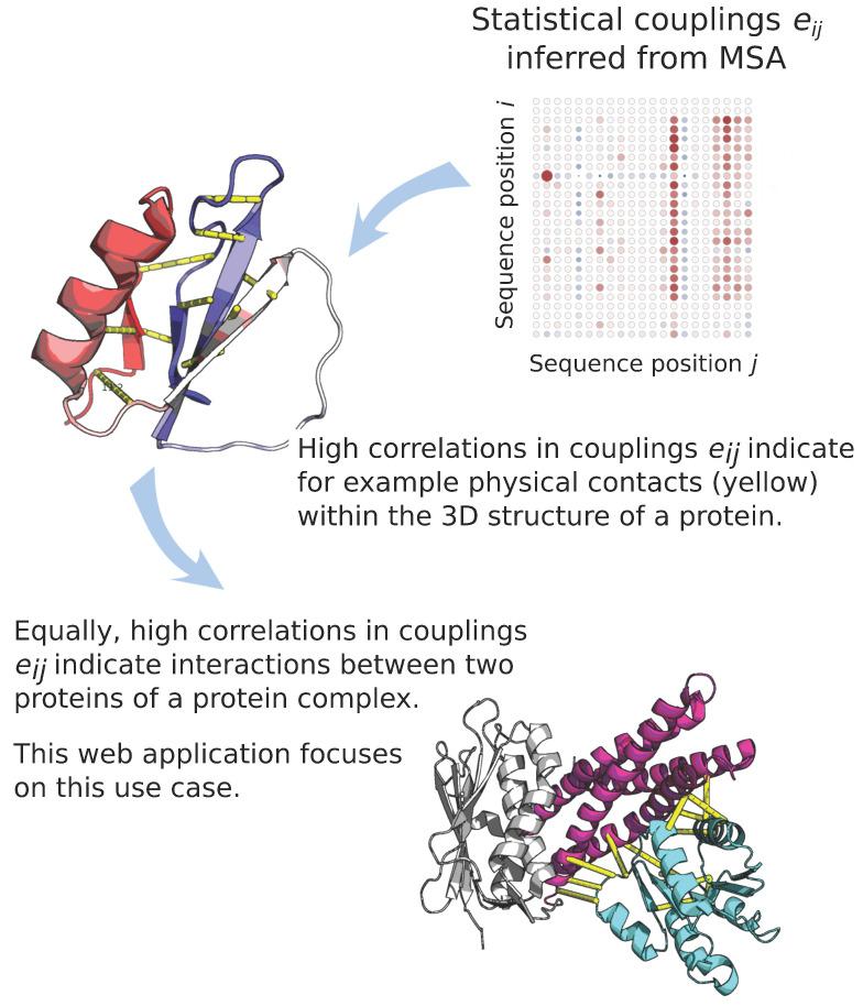 https://cdn.ncbi.nlm.nih.gov/pmc/blobs/7ba5/7911359/42492d07720f/entropy-23-00170-g001.jpg