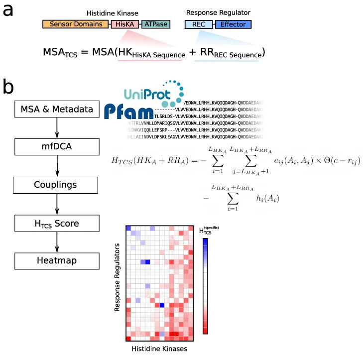https://cdn.ncbi.nlm.nih.gov/pmc/blobs/7ba5/7911359/61e0ee12026e/entropy-23-00170-g002.jpg