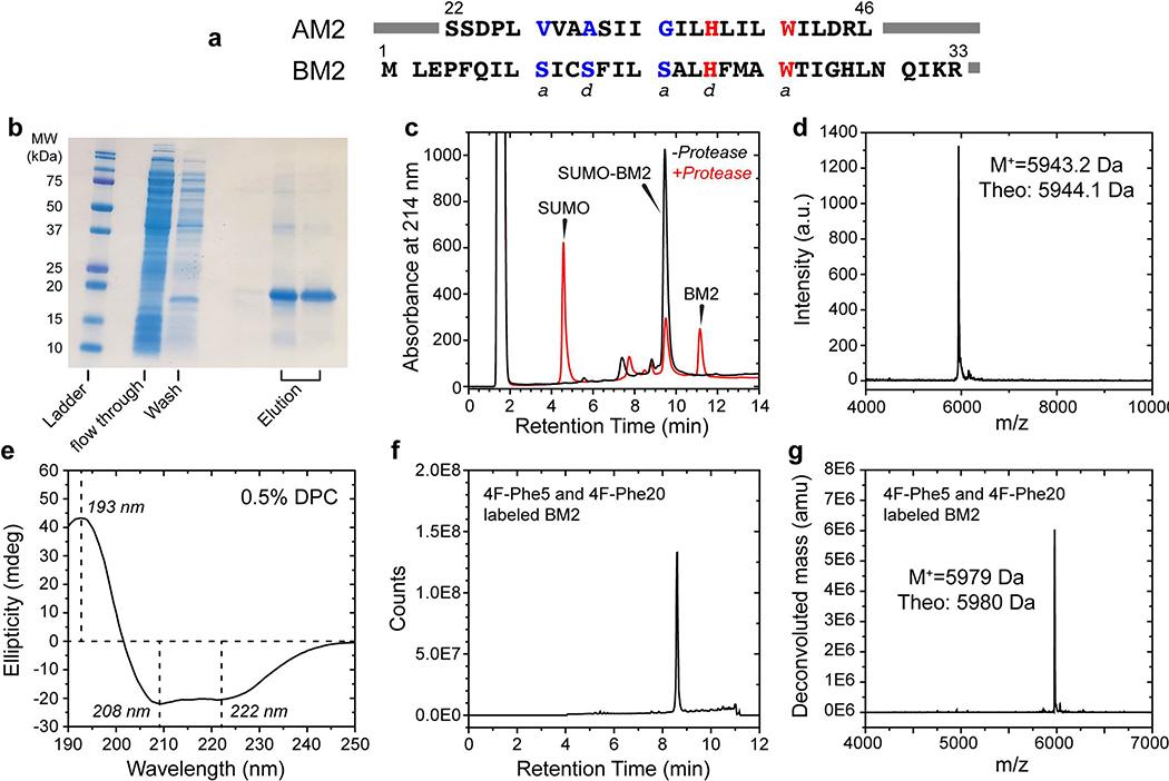 https://cdn.ncbi.nlm.nih.gov/pmc/blobs/7ba8/7641042/1c2e390decbd/nihms-1547634-f0006.jpg