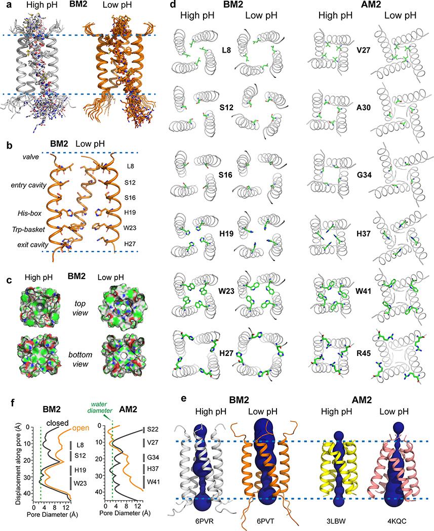 https://cdn.ncbi.nlm.nih.gov/pmc/blobs/7ba8/7641042/4989ecfd0f9b/nihms-1547634-f0004.jpg