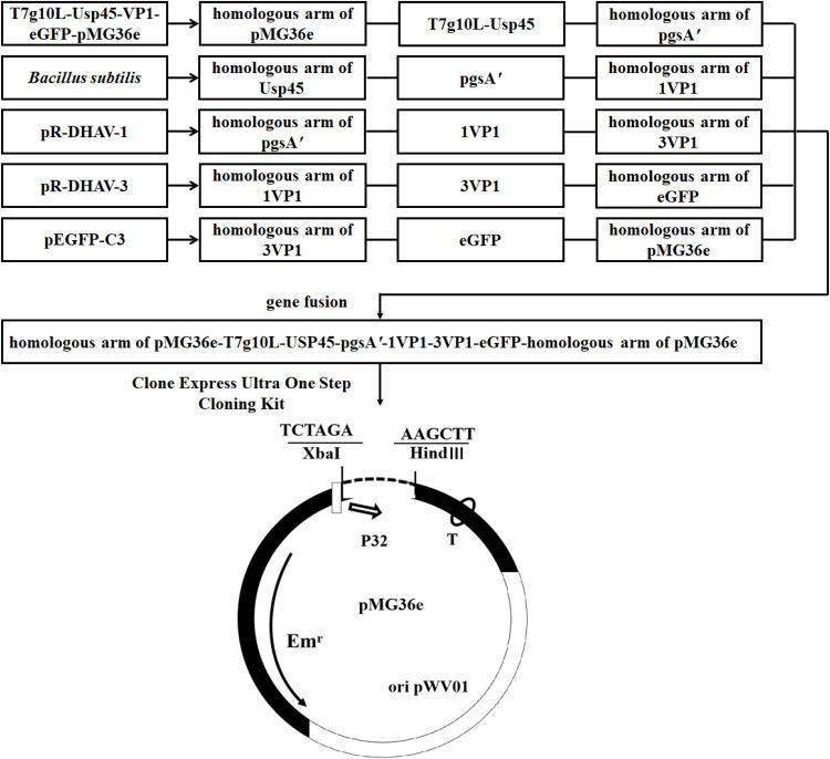 https://cdn.ncbi.nlm.nih.gov/pmc/blobs/7baa/11803836/6ba5e24efded/gr1.jpg