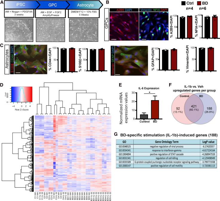 https://cdn.ncbi.nlm.nih.gov/pmc/blobs/7baa/8072028/57cc2938d8a8/gr1.jpg