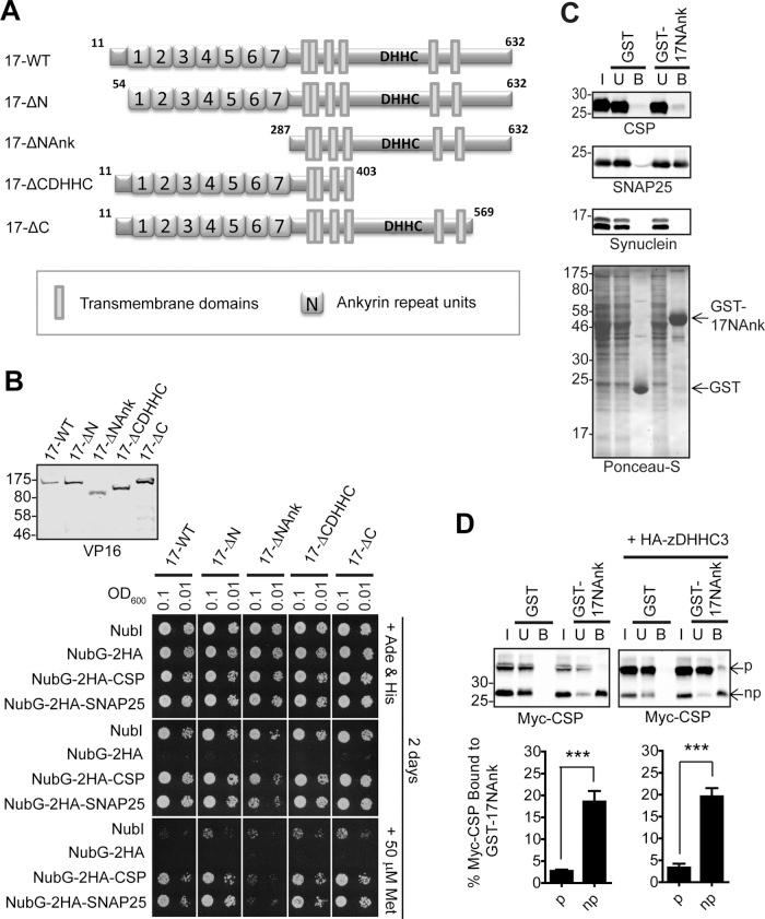 https://cdn.ncbi.nlm.nih.gov/pmc/blobs/7bab/4244197/88faf6ef1e88/3870fig3.jpg