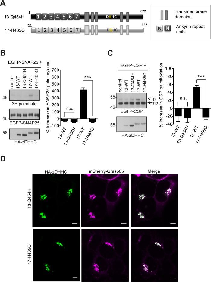 https://cdn.ncbi.nlm.nih.gov/pmc/blobs/7bab/4244197/c63c98f371a5/3870fig8.jpg