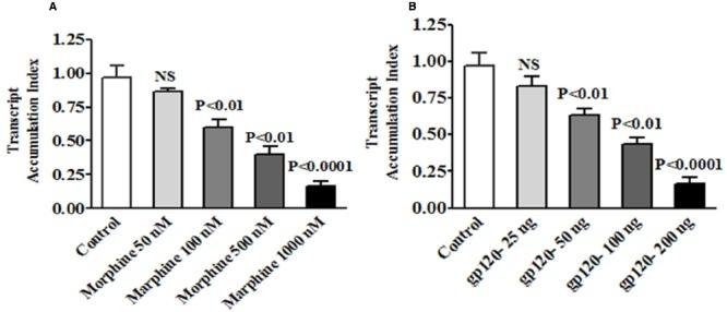 https://cdn.ncbi.nlm.nih.gov/pmc/blobs/7baf/4477635/eaaf2b950822/fmicb-06-00614-g0001.jpg