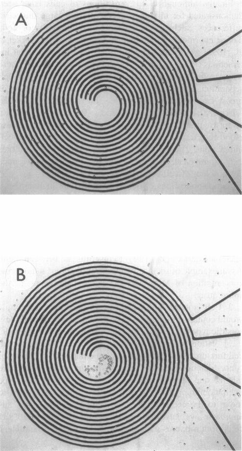 https://cdn.ncbi.nlm.nih.gov/pmc/blobs/7bb1/1184382/8c25adf5c902/biophysj00037-0414-a.jpg