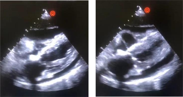 https://cdn.ncbi.nlm.nih.gov/pmc/blobs/7bb3/12048714/eaa2945857cf/acmi-7-00983-g002.jpg