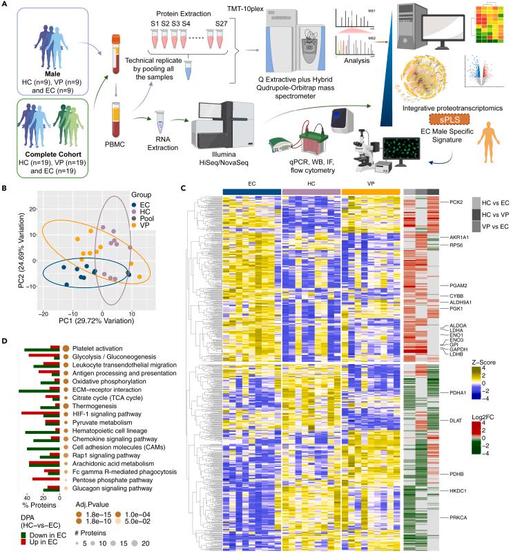 https://cdn.ncbi.nlm.nih.gov/pmc/blobs/7bb3/8718889/e8eaf4d492bd/gr1.jpg