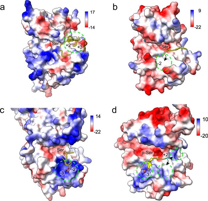 https://cdn.ncbi.nlm.nih.gov/pmc/blobs/7bb3/9876800/aa695243bd09/41586_2022_5575_Fig9_ESM.jpg