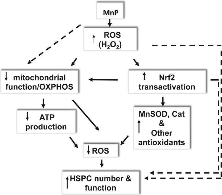 https://cdn.ncbi.nlm.nih.gov/pmc/blobs/7bb4/5320058/a85f3315eb5d/gr7.jpg