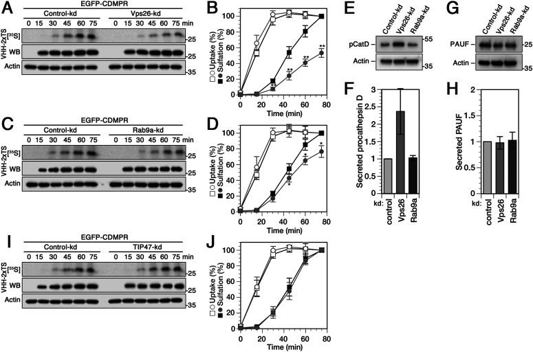 https://cdn.ncbi.nlm.nih.gov/pmc/blobs/7bb4/8961009/4f696974bd91/LSA-2021-01269_Fig2.jpg