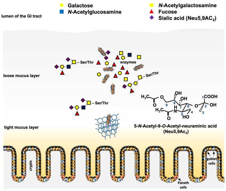 https://cdn.ncbi.nlm.nih.gov/pmc/blobs/7bb5/8065619/3b06b075fd9e/pathogens-10-00404-g002.jpg