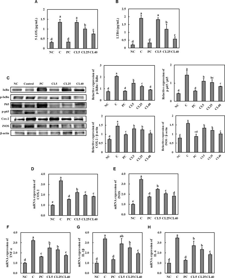 https://cdn.ncbi.nlm.nih.gov/pmc/blobs/7bb6/10989232/c18c6be95259/FNR-68-10402-g005.jpg