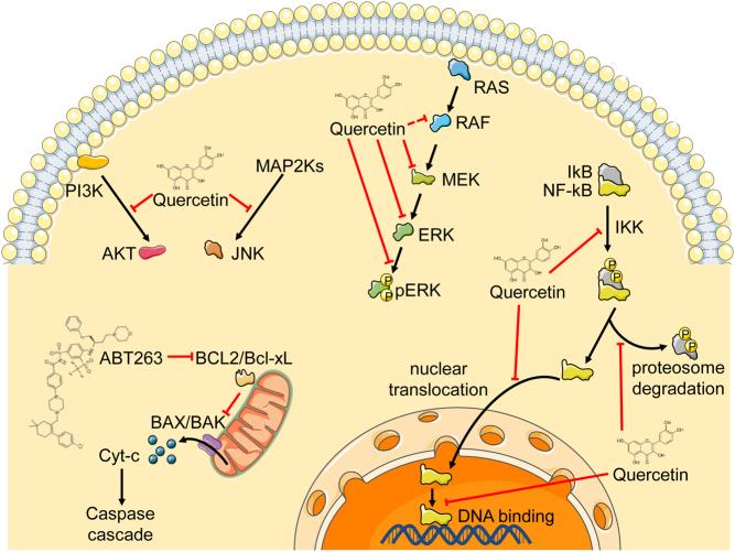 https://cdn.ncbi.nlm.nih.gov/pmc/blobs/7bb6/7439843/1d2f4957ce32/VB-19-0017fig3.jpg