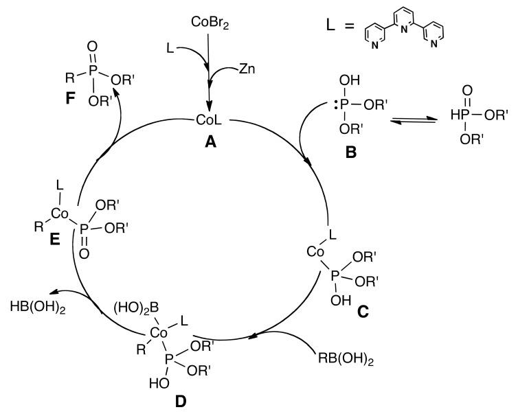 https://cdn.ncbi.nlm.nih.gov/pmc/blobs/7bb9/7024388/4db939c6e29d/molecules-25-00290-sch001.jpg