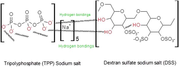 https://cdn.ncbi.nlm.nih.gov/pmc/blobs/7bb9/8110975/80037b89af62/41598_2021_89330_Fig1_HTML.jpg