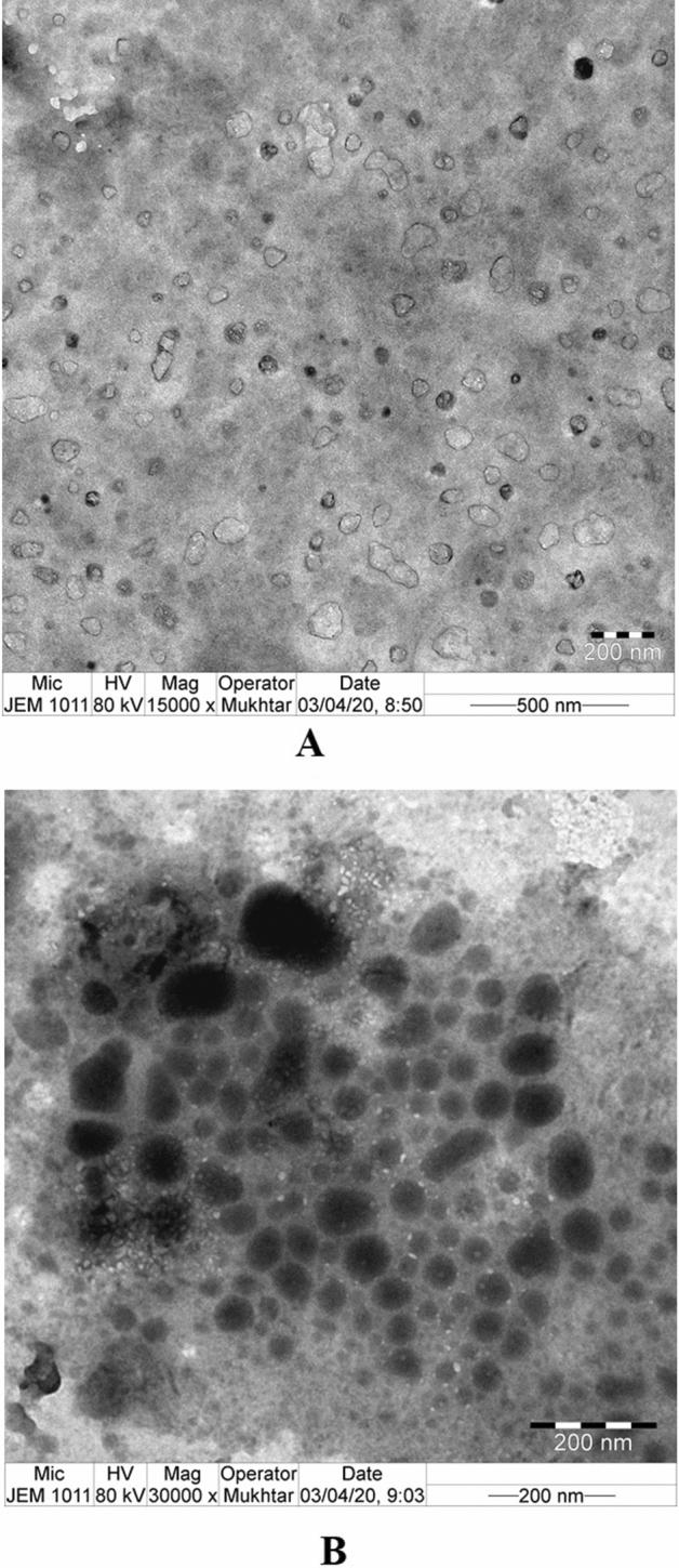 https://cdn.ncbi.nlm.nih.gov/pmc/blobs/7bb9/8110975/8579d75de156/41598_2021_89330_Fig5_HTML.jpg