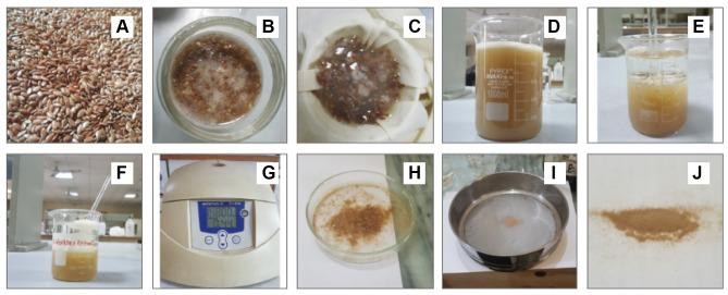 https://cdn.ncbi.nlm.nih.gov/pmc/blobs/7bbb/8275157/67ff986dfb27/IJN-16-4579-g0001.jpg