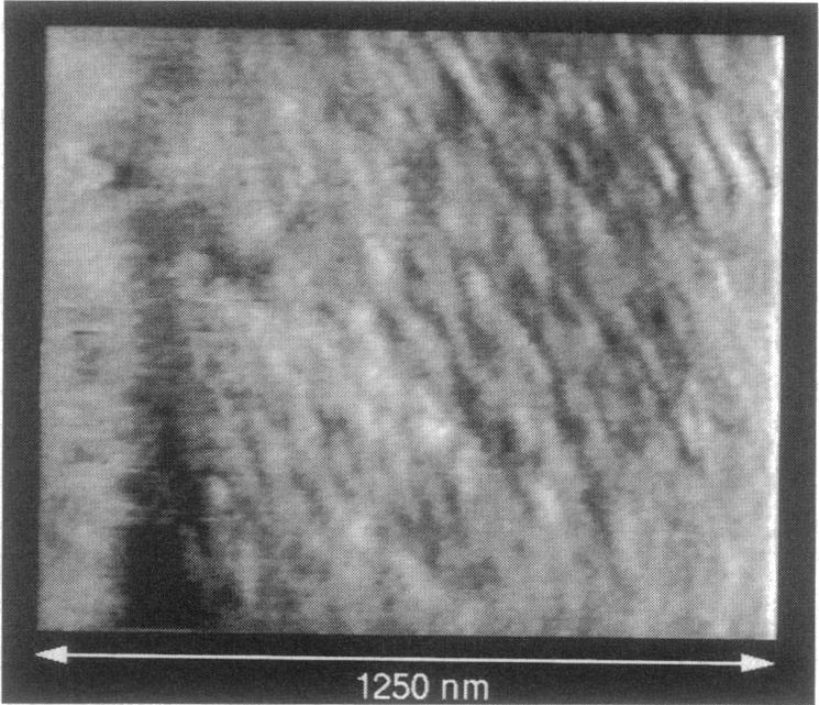 https://cdn.ncbi.nlm.nih.gov/pmc/blobs/7bbc/1181120/80be830577ec/biophysj00031-0494-a.jpg