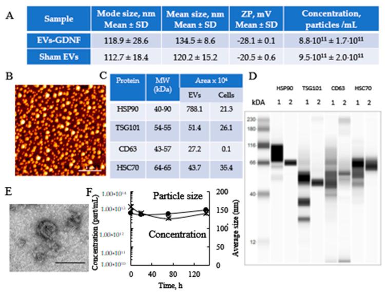 https://cdn.ncbi.nlm.nih.gov/pmc/blobs/7bbc/9222008/06eed22439bf/cells-11-01933-g001.jpg