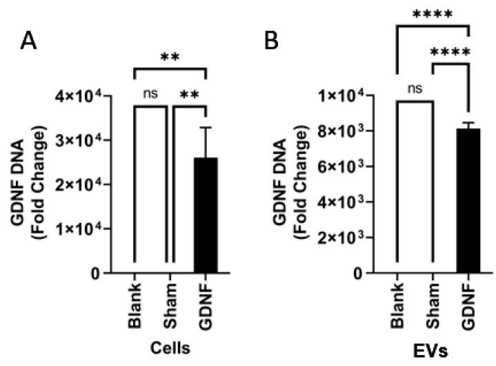 https://cdn.ncbi.nlm.nih.gov/pmc/blobs/7bbc/9222008/835f1e0802e1/cells-11-01933-g002.jpg