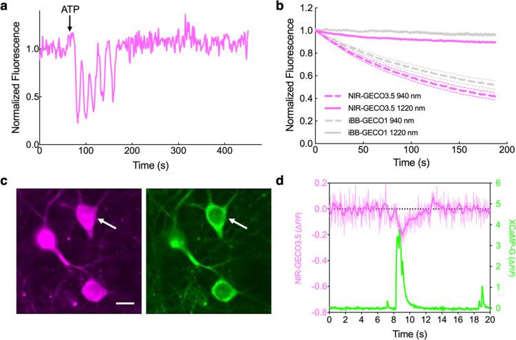 https://cdn.ncbi.nlm.nih.gov/pmc/blobs/7bbd/11218748/6b2910fd6140/se4c00727_0005.jpg