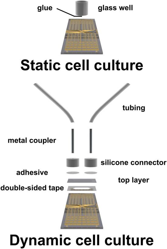 https://cdn.ncbi.nlm.nih.gov/pmc/blobs/7bbe/11219396/13bdc9356924/43579_2024_554_Fig1_HTML.jpg