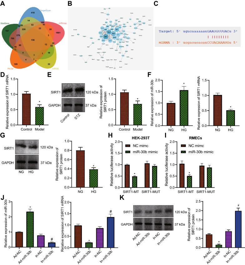 https://cdn.ncbi.nlm.nih.gov/pmc/blobs/7bbe/9738026/11be6675eb29/13098_2022_937_Fig2_HTML.jpg