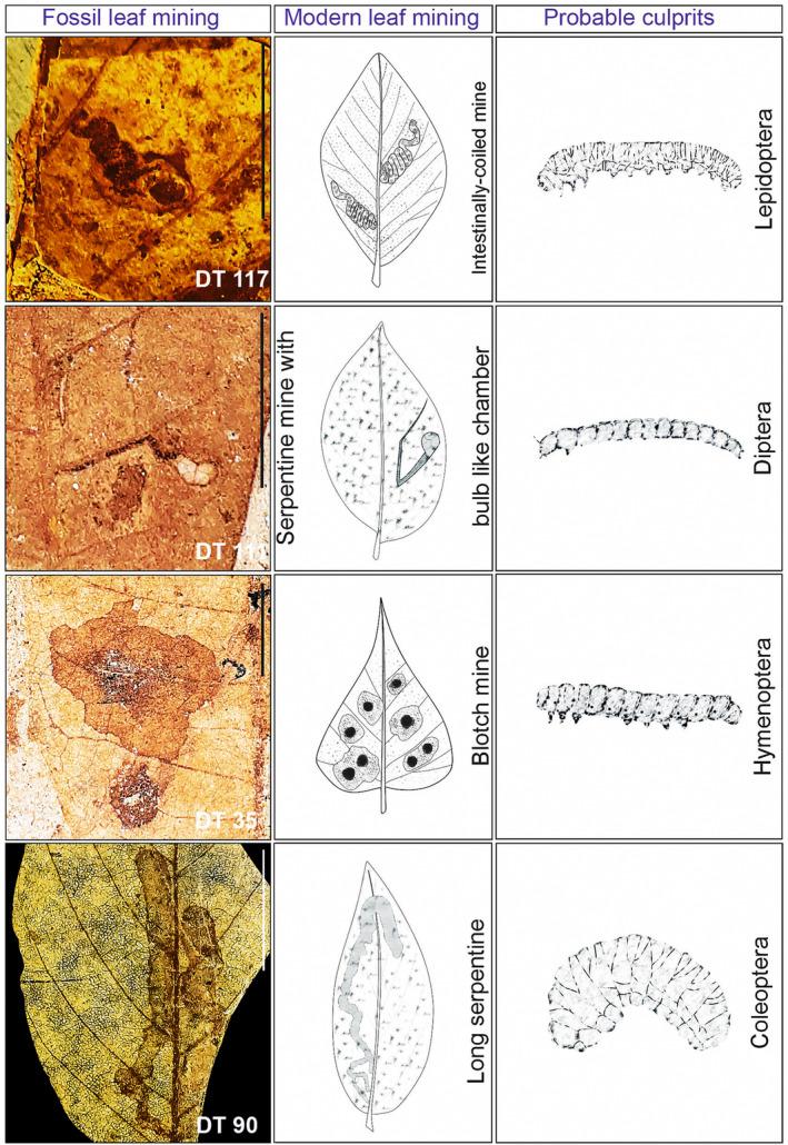 https://cdn.ncbi.nlm.nih.gov/pmc/blobs/7bc0/10927363/94dac0f81940/ECE3-14-e11114-g006.jpg