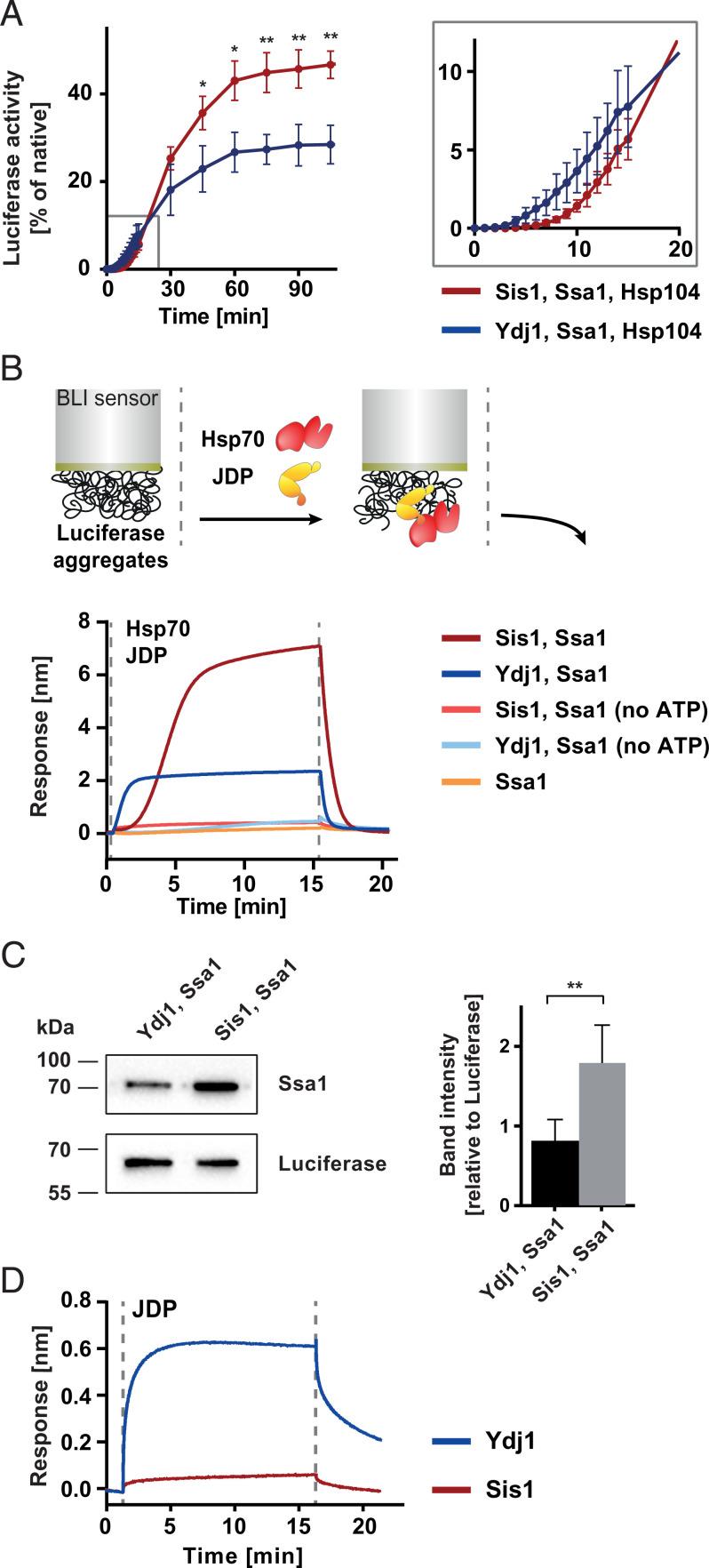 https://cdn.ncbi.nlm.nih.gov/pmc/blobs/7bc1/8670446/ca8de0af30a3/pnas.202108163fig01.jpg