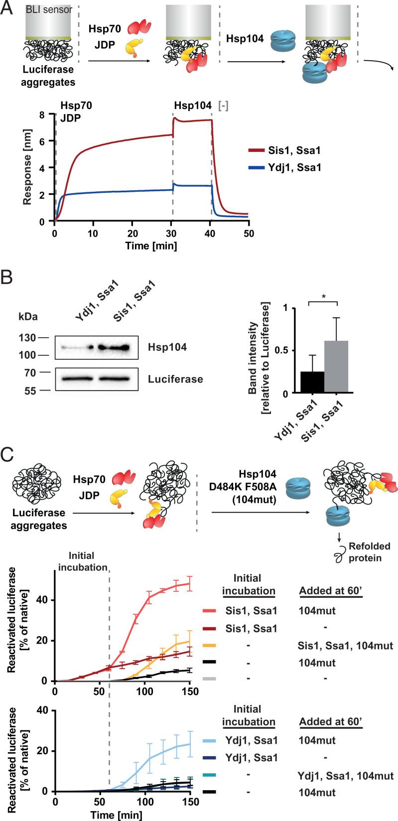 https://cdn.ncbi.nlm.nih.gov/pmc/blobs/7bc1/8670446/e388a712c3cd/pnas.202108163fig03.jpg