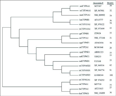 https://cdn.ncbi.nlm.nih.gov/pmc/blobs/7bc2/3062498/f4ea8edb5539/f02_01.jpg