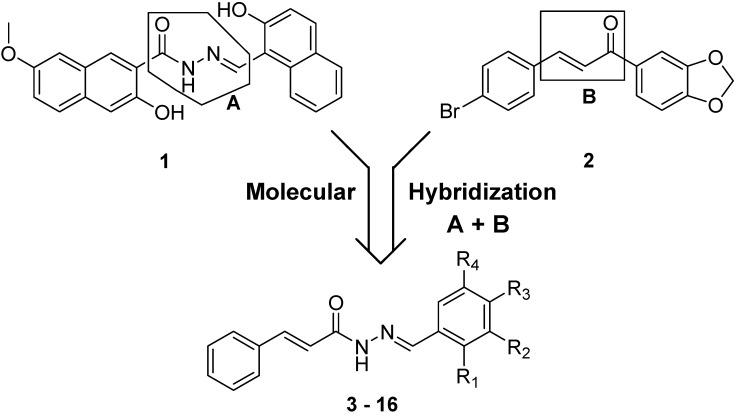 https://cdn.ncbi.nlm.nih.gov/pmc/blobs/7bc2/6271834/4c2ed8182b8f/molecules-19-20374-g001.jpg