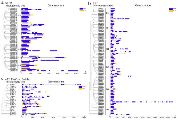 https://cdn.ncbi.nlm.nih.gov/pmc/blobs/7bc6/10139229/3025bb029e5c/ijms-24-07102-g004.jpg